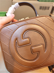 Gu.cci Blondie Top Handle Bag Brown Leather 744434