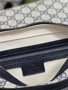 gu.cci ophidia gg small shoulder bag gg S*p*e canvas 722117