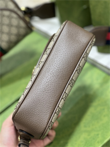 gu.cci ophidia gg small shoulder bag gg S*p*e canvas 722117