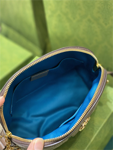 gu.cci ophidia gg small shoulder bag S*p*e canvas 499621