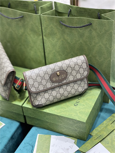 gu.cci neo vintage S*p*e belt bag 493930