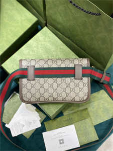 gu.cci neo vintage S*p*e belt bag 493930