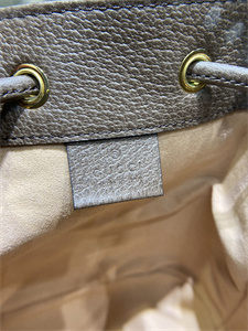 Gu.cci Ophidia GG Mini Bucket Bag 550620