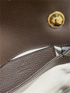 gu.cci blondie mini bag gg S*p*e canvas 698643