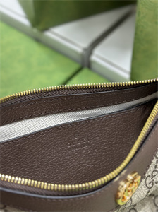 gu.cci ophidia gg small handbag S*p*e canvas 735145