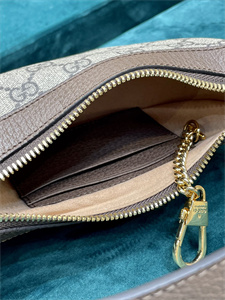 gu.cci ophidia gg mini bag gg S*p*e canvas 658551