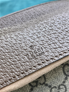 gu.cci ophidia gg mini bag gg S*p*e canvas 658551