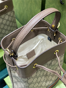 Gu.cci Ophidia GG Small Bucket Bag 550621