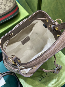 Gu.cci Ophidia GG Small Bucket Bag 550621