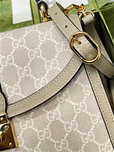 gu.cci ophidia gg small top handle bag gg S*p*e canvas 651055