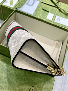 gu.cci ophidia gg small shoulder bag S*p*e canvas 503877