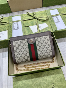 gu.cci ophidia gg small shoulder bag S*p*e canvas 503877