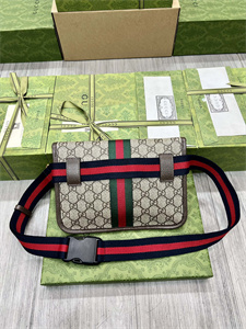 Gu.cci Ophidia GG Small Belt Bag 752597