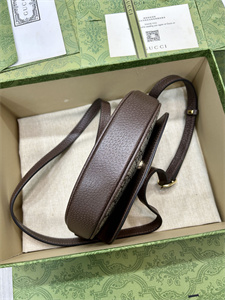 gu.cci ophidia mini shoulder bag S*p*e canvas 757309