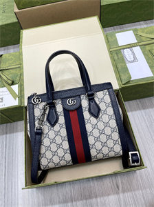 gu.cci ophidia  gg small tote bag gg S*p*e canvas 547551