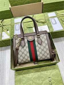 gu.cci ophidia  gg small tote bag gg S*p*e canvas 547551