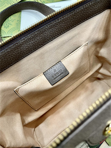 gu.cci ophidia  gg small tote bag gg S*p*e canvas 547551