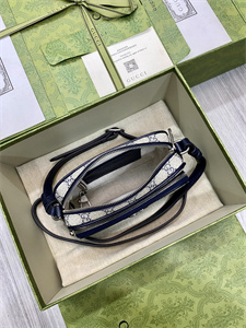 gu.cci ophidia mini bag gg S*p*e canvas 722557