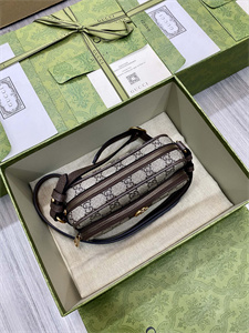 gu.cci ophidia mini bag gg S*p*e canvas 722557