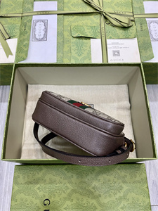 gu.cci ophidia mini bag gg S*p*e canvas 722557