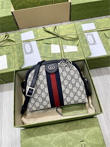 gu.cci ophidia gg small shoulder bag S*p*e canvas 499621
