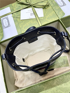 Gu.cci Ophidia GG Mini Bucket Bag 550620