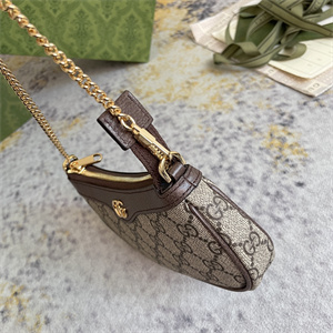 gu.cci ophidia mini bag gg S*p*e canvas 764960