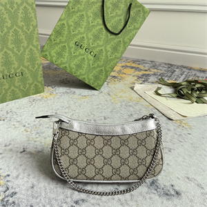 gu.cci ophidia mini bag gg S*p*e canvas silver 764960