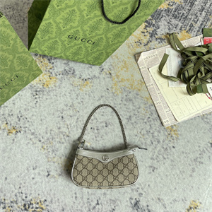 gu.cci ophidia mini bag gg S*p*e canvas silver 764960