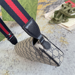 gu.cci ophidia mini bag gg S*p*e canvas 764961