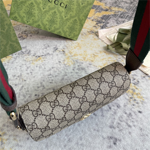 gu.cci ophidia mini bag gg S*p*e canvas 764961