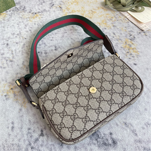 gu.cci ophidia mini bag gg S*p*e canvas 764961