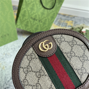 gu.cci ophidia mini chain top handle bag gg S*p*e canvas 725147