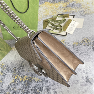 Gu.cci Dionysus GG Medium Chain Shoulder Bag 403348