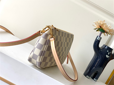 L.V Pochette Accessories Damier Azur N41207