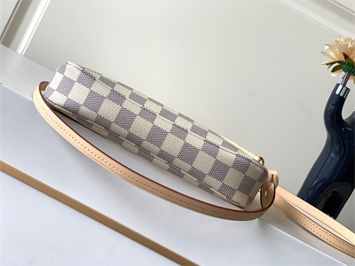 L.V Pochette Accessories Damier Azur N41207