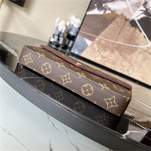 L.V  Felicie Pochette Monogram Canvas Chain M61276