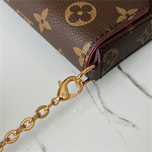 L.V  Felicie Pochette Monogram Canvas Chain M61276