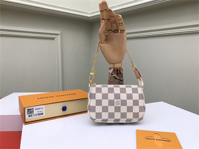 L.V Mini Pochette Accessories Damier Azur N58010