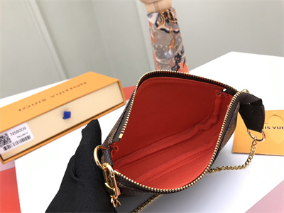 L.V Mini Pochette Accessories Damier Ebene N58010