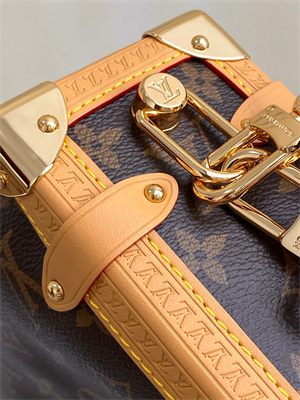 LV  Side Trunk MM  Monogram Canvas M46358