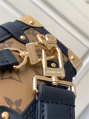 LV  Side Trunk MM  Reverse Monogram Canvas M46358