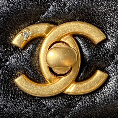 Cha.nel Wallet On Chain Lambskin Gold Tone Metal Little lion Black AP3424