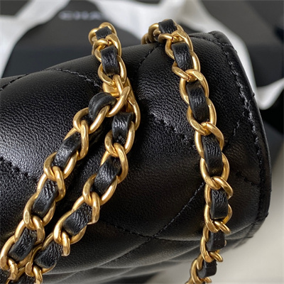 Cha.nel Wallet On Chain Lambskin Gold Tone Metal Little lion Black AP3424