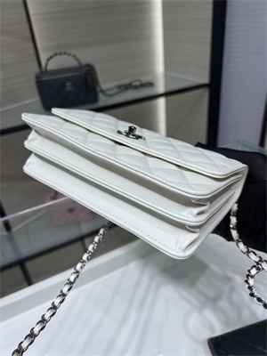Cha.nel Wallet On Chain With Top Handle Shiny Calfskin Silver Tone Metal White AP3566
