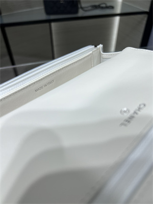 Cha.nel Wallet On Chain With Top Handle Shiny Calfskin Silver Tone Metal White AP3645