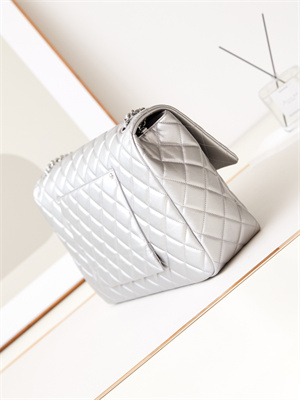 Cha.nel CF Airport Bag Calfskin Silver Tone Metal Silver AS4661