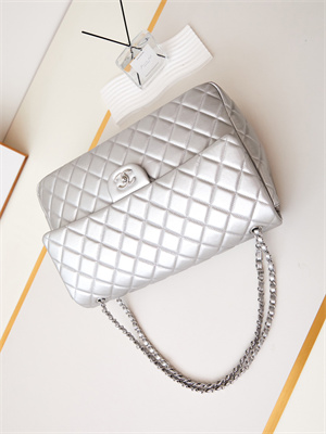 Cha.nel CF Airport Bag Calfskin Silver Tone Metal Silver AS4661
