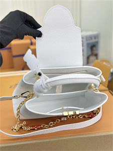 L.V Capucines BB Bag Taurillon Leather White M22375