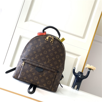 L.V Palm Springs MM Backpack Monogram Canvas M44874